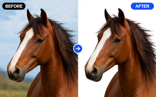 Clipping Path Gallery Image